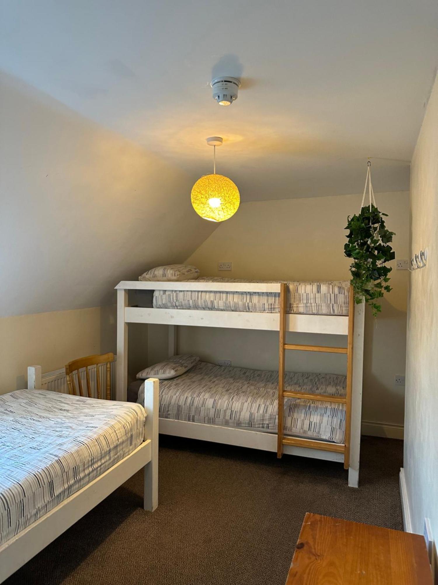 דינגל The Grapevine Hostel מראה חיצוני תמונה